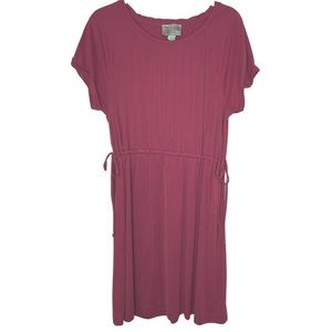 Anthropologie Saturday Sunday Pink Cupro Drawstring Waist Dress in Size Medium‎
